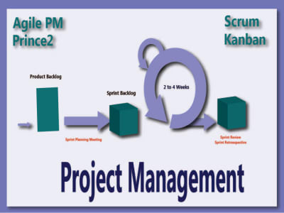Expert Project Manager for Project Management tasks