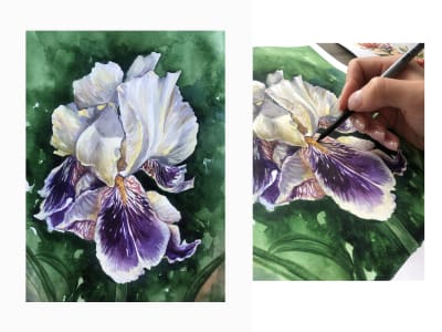 A watercolor painting/illustration in high resolution