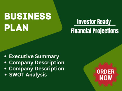 Investor-Ready Business Plan Writing with Financial Projections