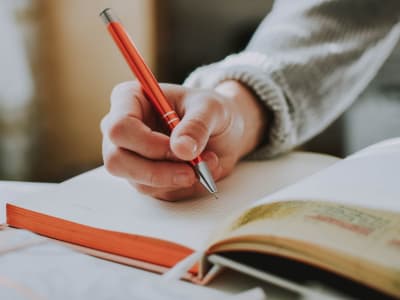 Outstanding delivery of your work on writing and translation.