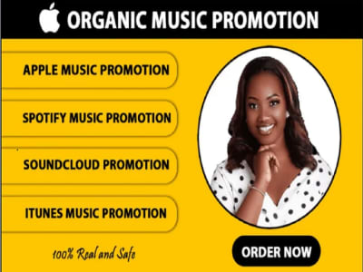 Submission of Spotify music promotion to 900 music playlist curators