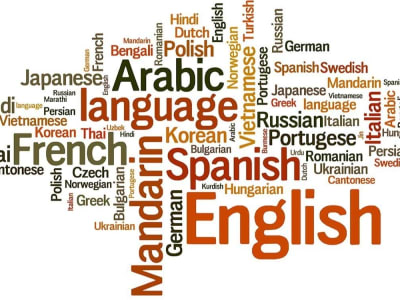 A Profissional English to Russian Translation