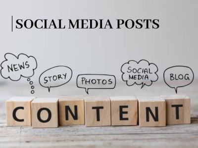 Copywriter content for Facebook, Instagram, Twitter, and LinkedIn.