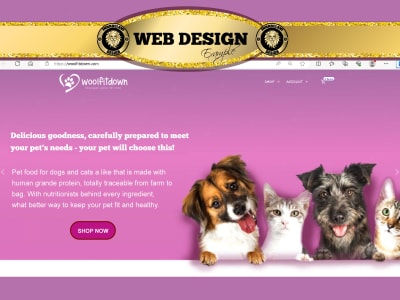 A professional, beautiful and functional web design. | Upwork