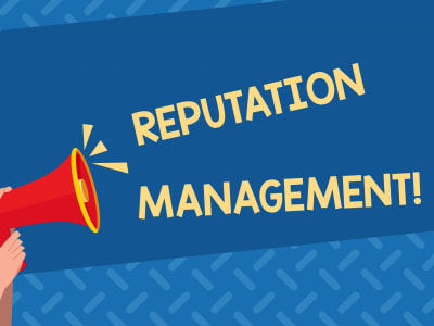 Online reputation management audit, strategy and content removal advice