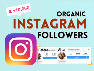 Instagram Followers, Organic and Non-Drop Instagram Marketing