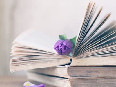 A carefully crafted book in your genre