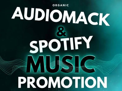 Effective Spotify and Audiomack music promotion