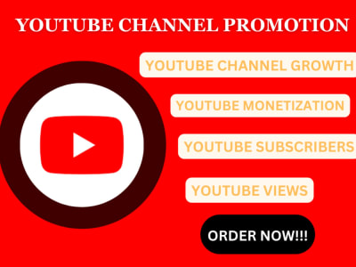 Subscribers, Viewers and Watch hours For your YouTube Channel