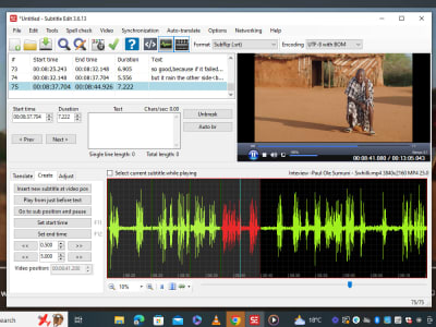 Professional SRT/ Subtitles for your video (English/ Swahili/ Maasai)