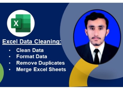 Expert Excel Data Cleaning, Formatting, and Sorting | Upwork