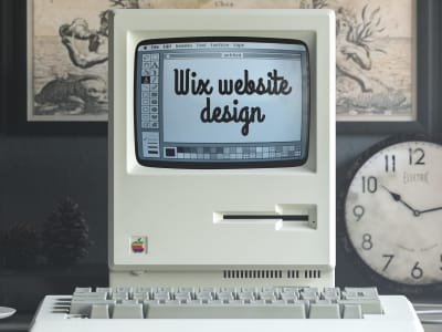 A creative and profitable Wix web site, SEO, design