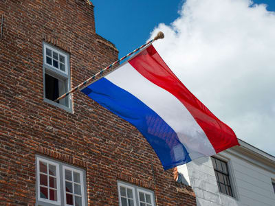 Your English website page translated into appealing Dutch