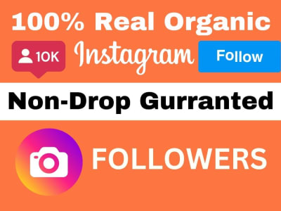 Instagram followers Non-Drop Service