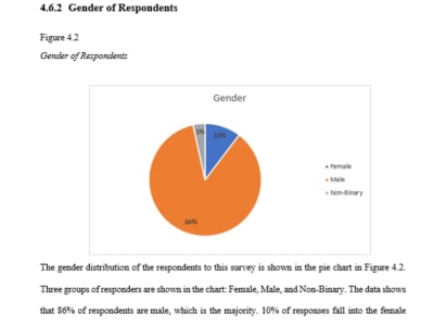 Descriptive and demographic analysis on SPSS and Excel