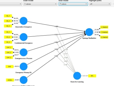 Statistical analysis using SmartPLS with the Excel report