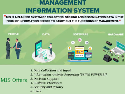 An expert in Management Information Systems [MIS]
