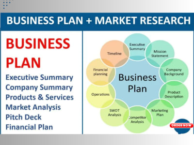 Business Plan and Roadmap