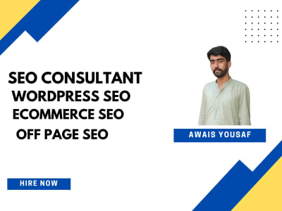100% On-Page, Off- Page, Technical SEO and WordPress SEO Service