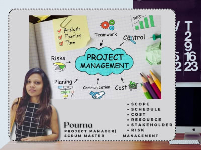Agile Project Manager | Scrum Master for optimized project delivery