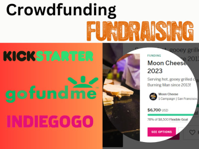 99% Crowdfunding Fundraising for your Crowdfunding Project.
