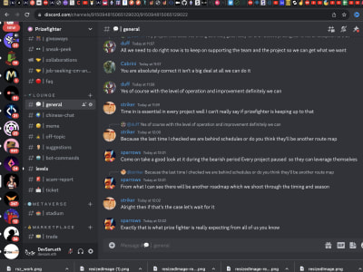 A professional discord sever