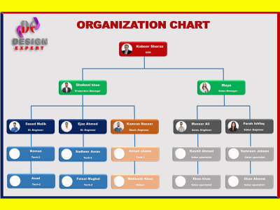 Org chart, workflow chart, process flow and infographic chart | Upwork