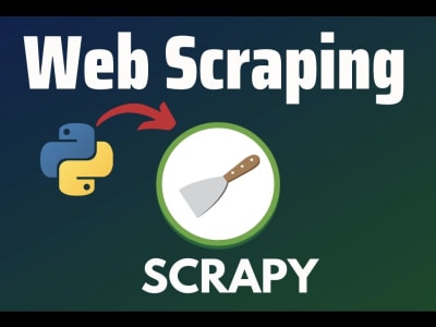 Web scraping dashboard for your needs | Upwork