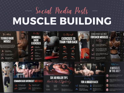 You will get Instagram fitness infographics, muscle building glutes, abs,  back