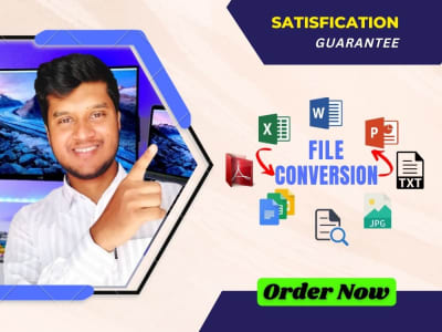 Convert PDF to Excel, Scan Pages to Word/Excel, File Conversion