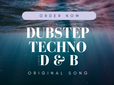 Dubstep DnB House Music Synthwave or Techno