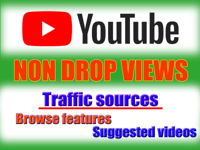 REAL Targeted YouTube Views with video promotion and youtube marketing