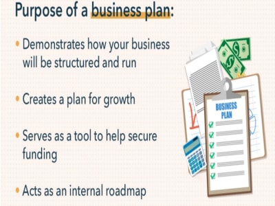 SBA Loan/ Investor-Ready/ Immigration Business Plan with 5 years Financials