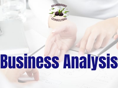 Business Analysis - 2 hrs