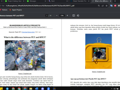 SEO-Optimized Content That Converts | Upwork