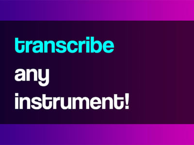 A musical transcription of any instruments you need
