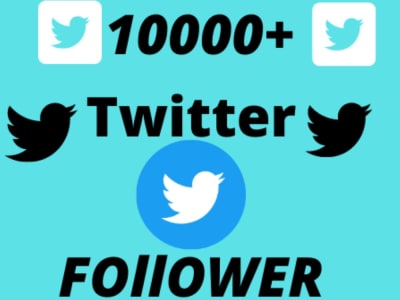 Organic and Real Twitter Followers | Twitter For Your Twitter