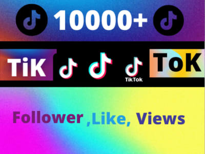 TikTok Viral Promotion TikTok Followers | TikTok Views | TikTok Likes |