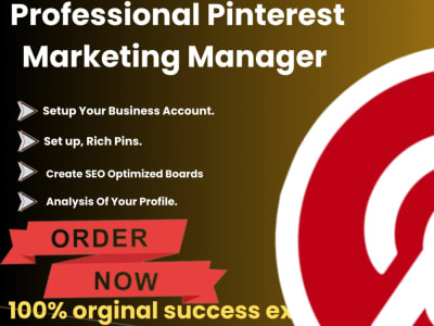Pinterest marketing expert, account for your blogg, your website, satup Ot