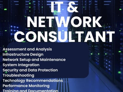IT & Network Consultancy