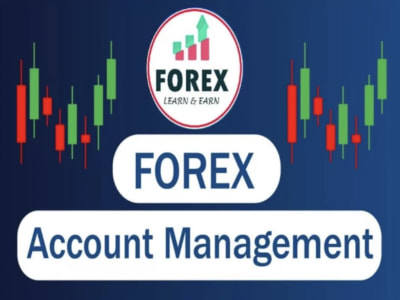 Forex Account Management, Account Manager trading with 20% profit daily