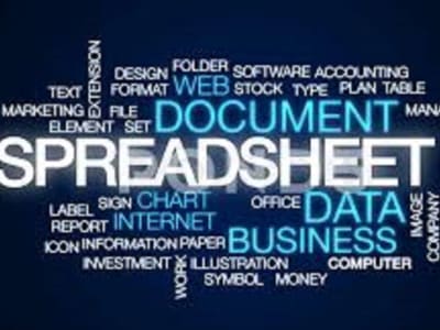 A hardworking, reliable, flexible and honest worker for your projects.