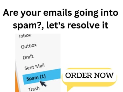 Expert Email Deliverability Consultant-Ensuring Your Emails Reach the Inbox
