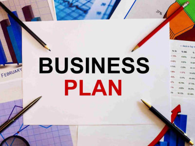 Investor-Ready/ SBA Loan/ Immigration Business Plan with 5 years Financials