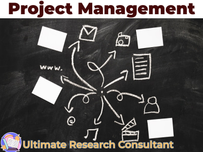 Project management solution through MS Project or Project Libre