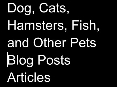 SEO Optimized Dogs, Cats, Hamsters, Fish, and Other Pets Blog Post Articles