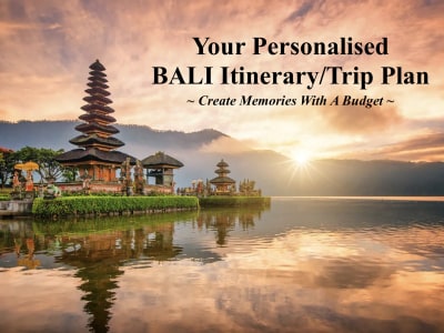 BALI Travel Itinerary/Trip Plan with budget, contact support & 4G