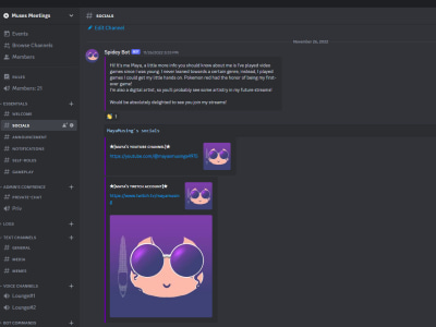 I will setup gaming, nft, or anime discord server for $40, freelancer  fxepro (fxepro) – Kwork