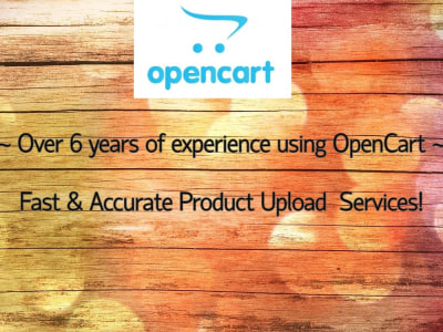 Fast and accurate product upload service on OpenCart or Ebay.
