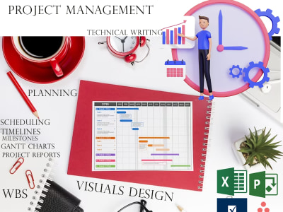 Expert help on all project management technical writing and visualizations